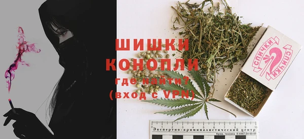 дживик Бронницы