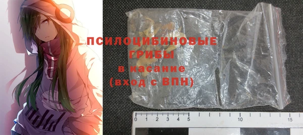 дживик Бронницы
