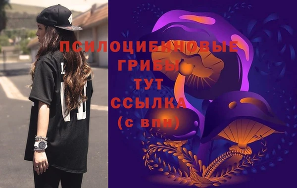 прущая мука Бородино