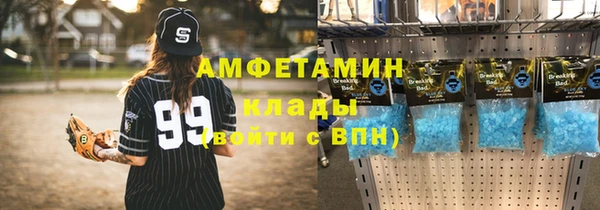 дживик Бронницы