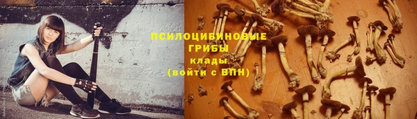 прущая мука Бородино