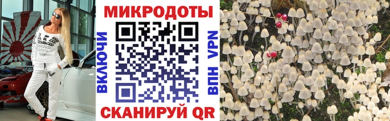 Галлюциногенные грибы прущие грибы  Артём 
