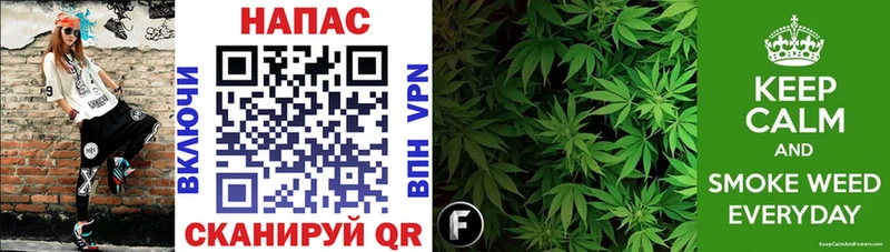 дарнет шоп  Артём  Каннабис SATIVA & INDICA 